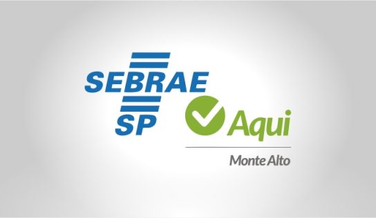 SEBRAE oferece oficinas em fevereiro