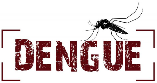 Monte Alto confirma dois casos de dengue