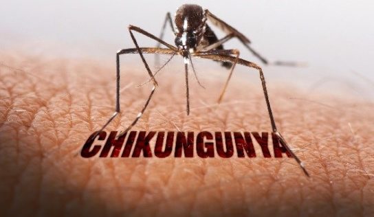 Monte Alto confirma caso de chikungunya