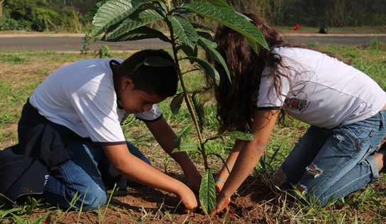 ‘Dia da Árvore’ leva crianças a plantio de mudas no São Miguel
