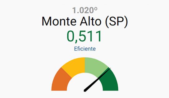 Em ranking nacional, Monte Alto é revelado como município eficiente