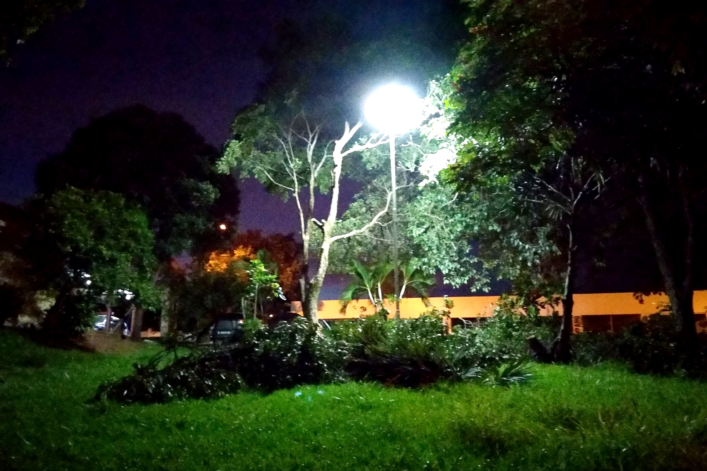 Próximo ao Terminal Rodoviário, uma das árvores obstruía a luz do poste e foi podada.