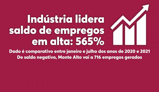 Monte Alto: Indústria lidera saldo de empregos em alta: 565%
