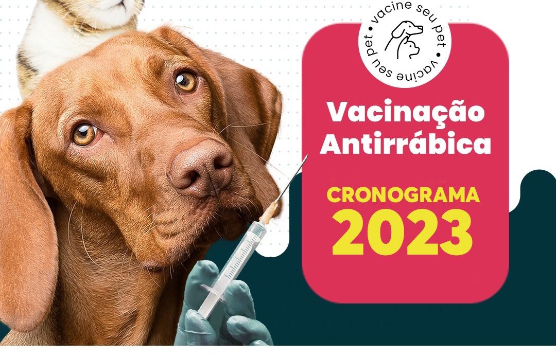 Definido cronograma de Vacinação Antirrábica 2023