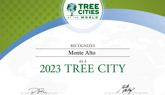 Monte Alto conquista reconhecimento ‘Cidade-Árvore’ pelo segundo ano consecutivo